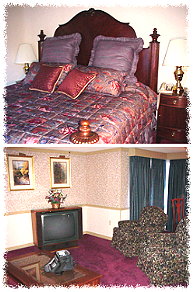 Gatlinburg Motel with Private Balconies, Jaccuzi, Fireplace, Smoky Mountains Ski Mountain Road Location